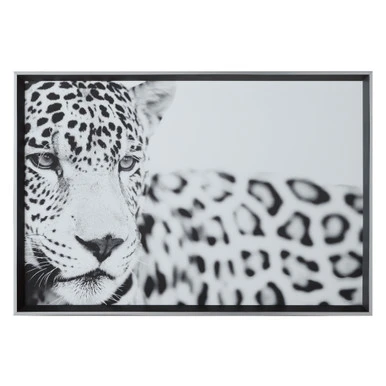 Majestic Calm - Image 2