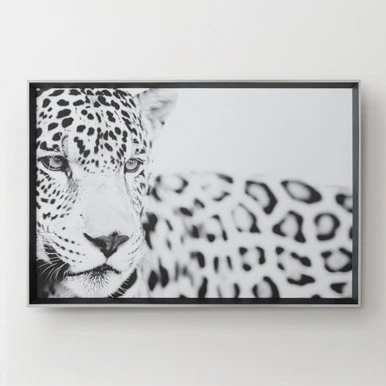 Majestic Calm - Image 3