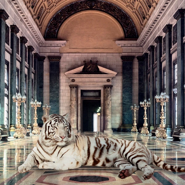 Resting In My Palace - Image 3