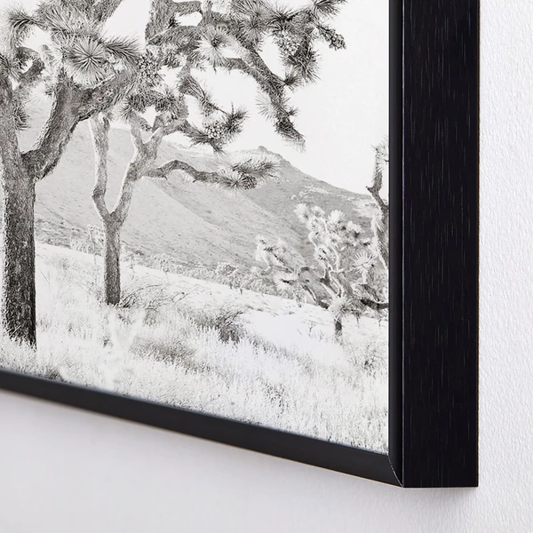 Joshua Tree Bliss - Image 2