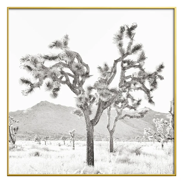 Joshua Tree Bliss - Image 4